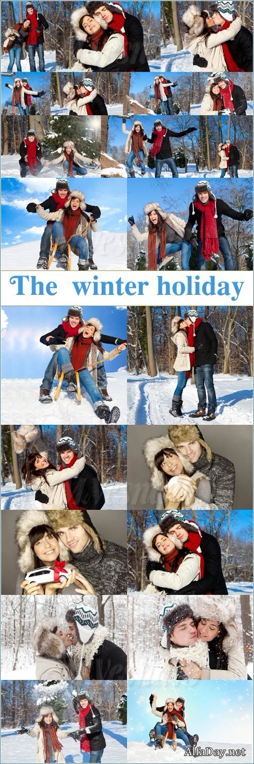 ������ �����, ����, ���������� ���� ����� - ���� / Winter holiday stock photo