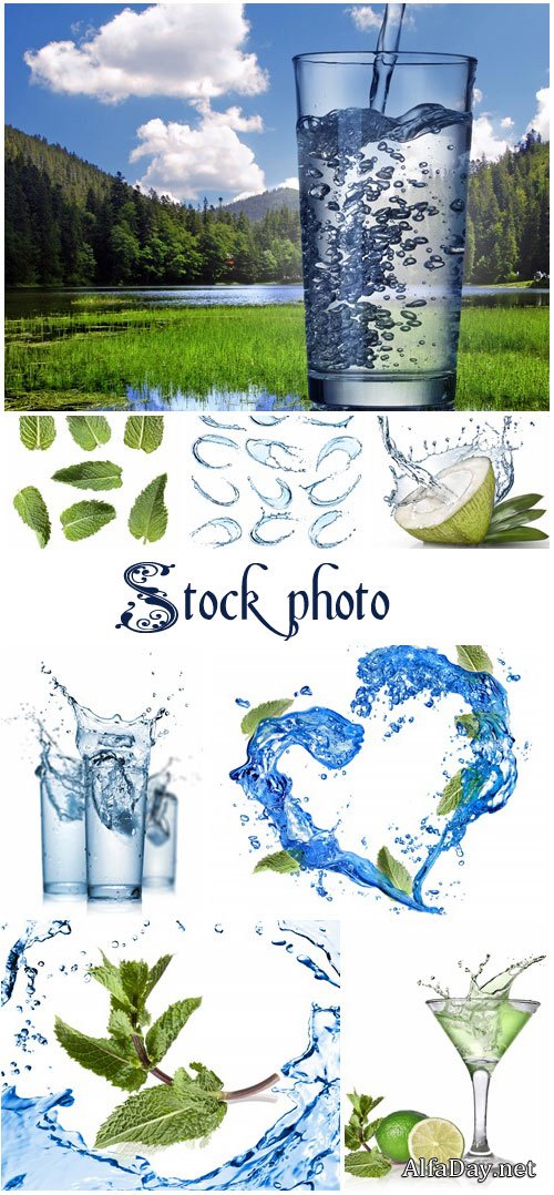 Water splash with green mint isolated on white - stock photo