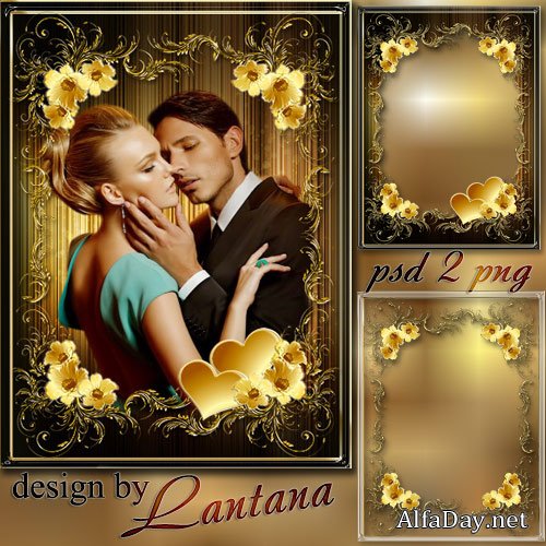 ������������� ����� - ����� ������ ����� ���� ����