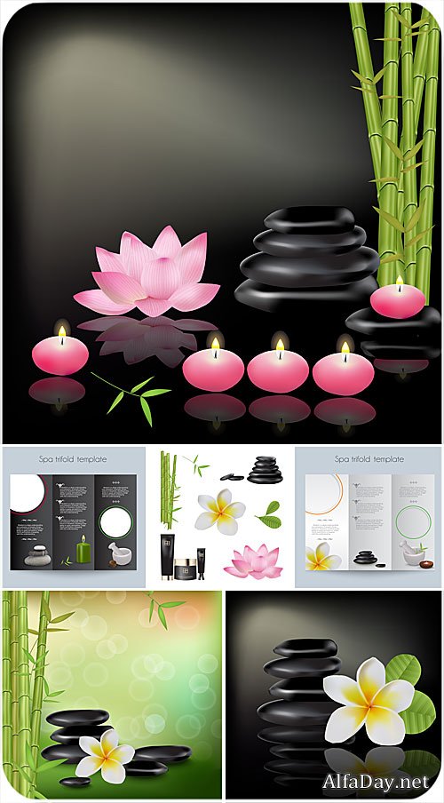 ��� ���� � �������, �����, ������, ��� �����, �����