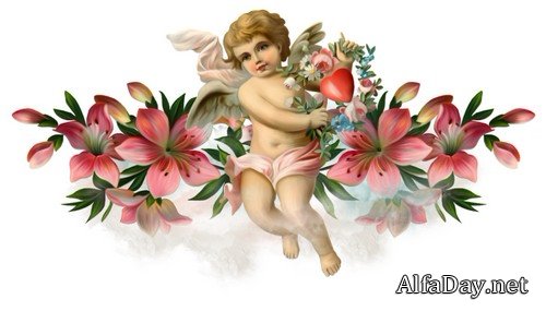 �������-������� - ��������, ����� � �������� �� ���������� ����