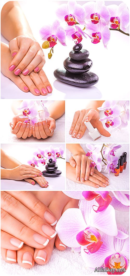 ���� �� ������, �������� �������, ������� - ���� ����