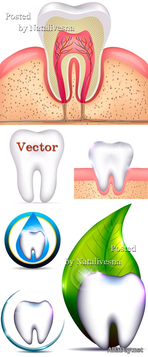 ������������, ��� - ��������� �������