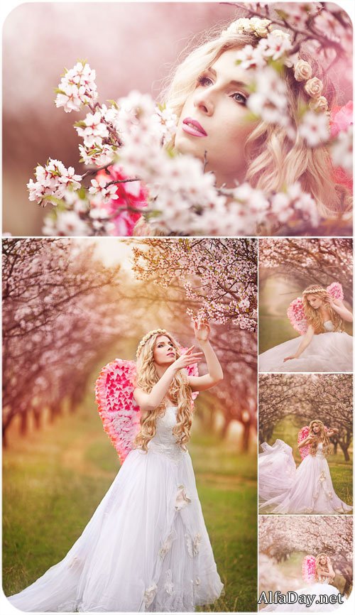 ������� � �������� �������� ���� - ���� ����