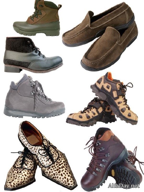 ����� �������: ����� � �������