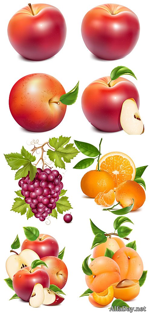 ������, ��������, �������� � ������� � �������