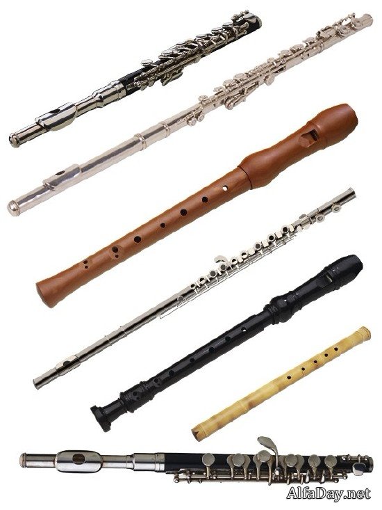 ������� �����������: ������, �������, ������� (�������)