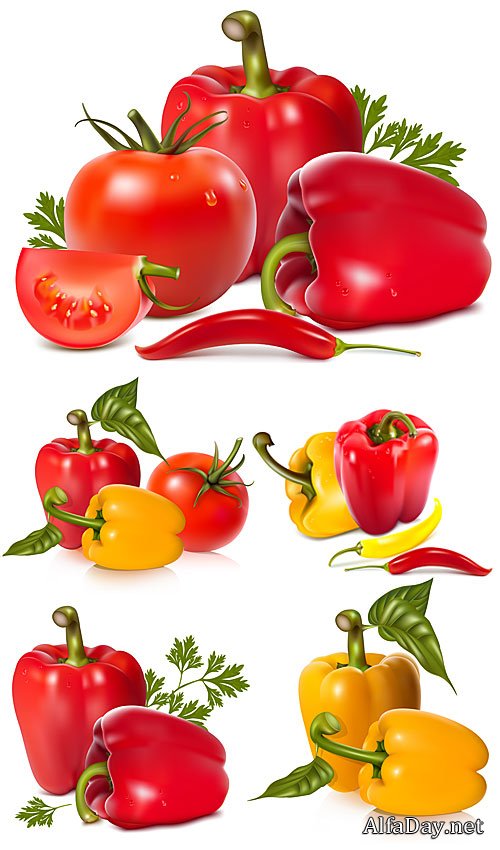 �����, ������ � �������