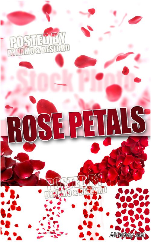 �������� ��� - ��������� �������