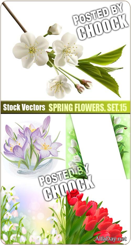 �������� �����, ��������, �����������, �������, �������� ����� - ��������� �������