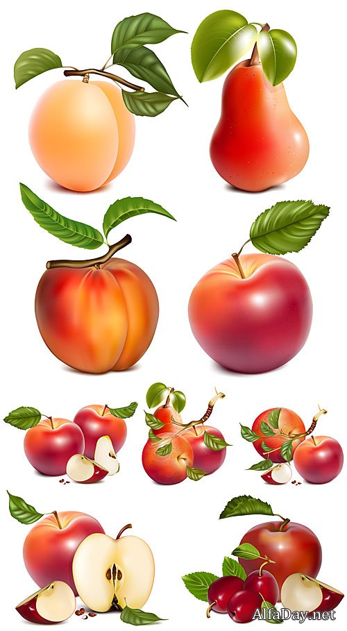 ������, �����, �������, ������� � �������