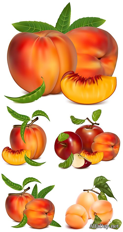 �������, �������� � �������