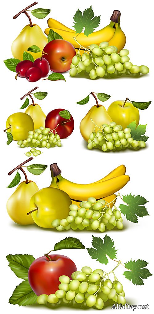 ��������, ������, ������ � ����� � �������