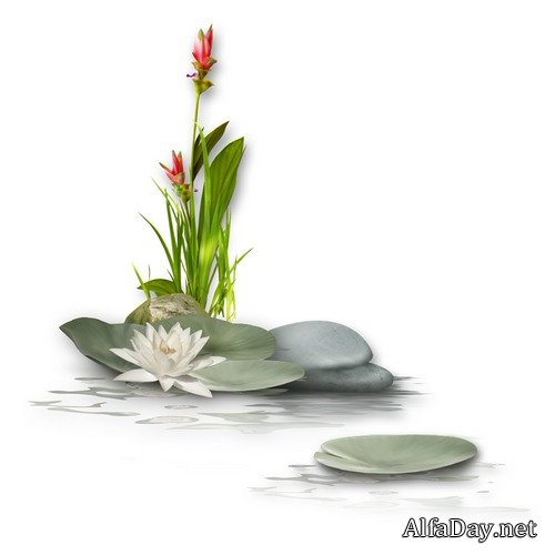 ������, ������ �����, ��������, ���� - ������� �� ���������� ����