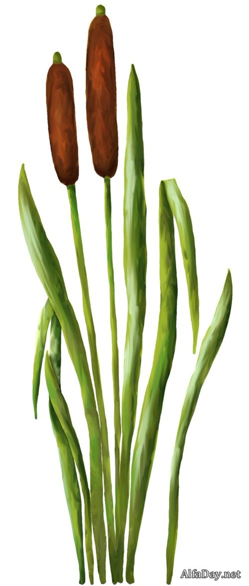 ������, ������ �����, ��������, ���� - ������� �� ���������� ����