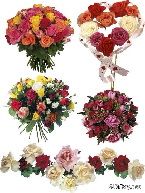 ������ ���, ���� PNG - ������� �� ���������� � ����� ����