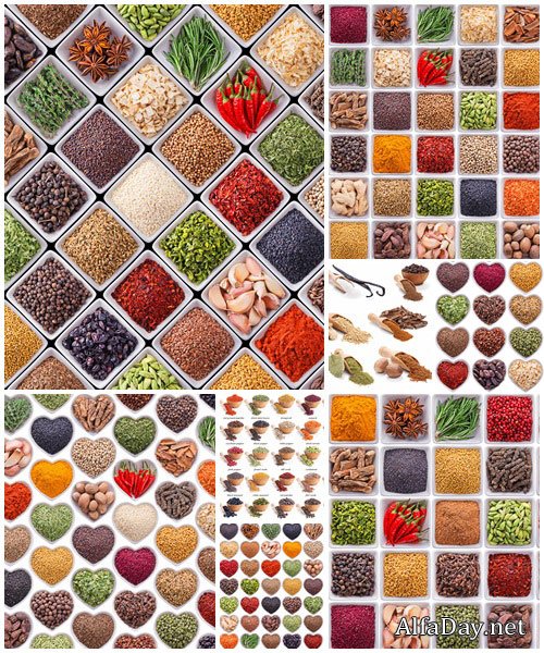 Large collection of different spices and herbs, part 2 - stock photo