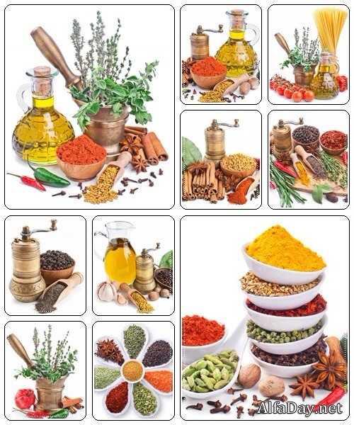 Large collection of different spices and herbs - stock photo
