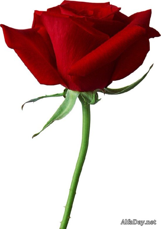 ������� ���� - ��������� ������� � 8 �����