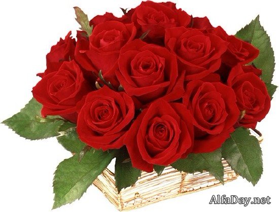 ������� ���� - ��������� ������� � 8 �����