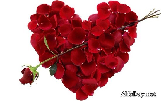 ������� ���� - ��������� ������� � 8 �����