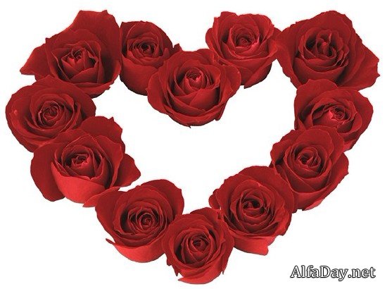 ������� ���� - ��������� ������� � 8 �����