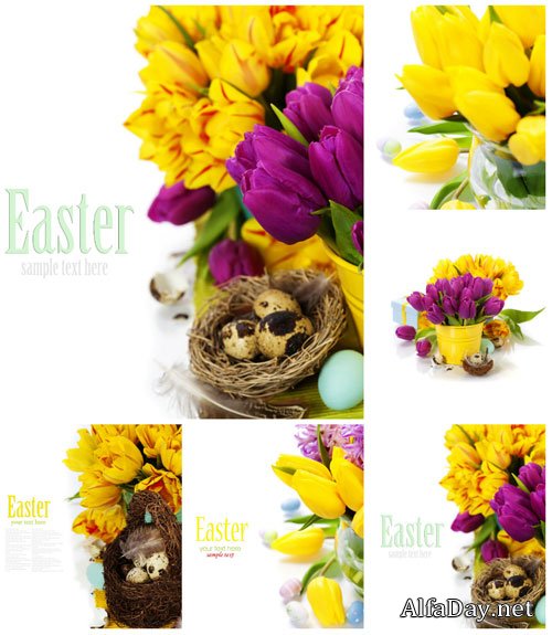 ���������� ���������� � ���������� - ���� ����