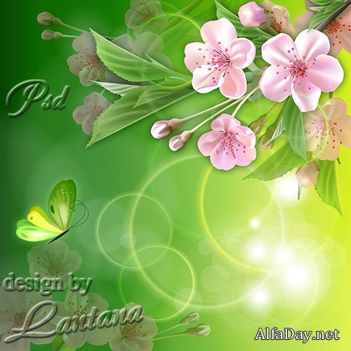 PSD �������� - ����� ���� ���� �����, ����� ������ ������