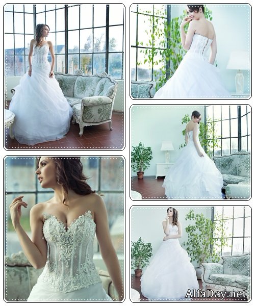 Attractive brunette bride - stock photo