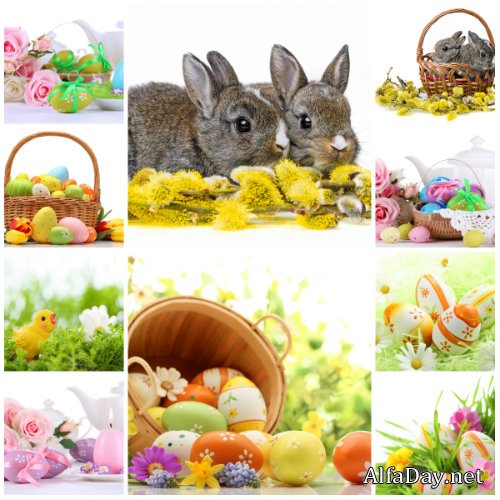 ��������� ���������� ���� ����