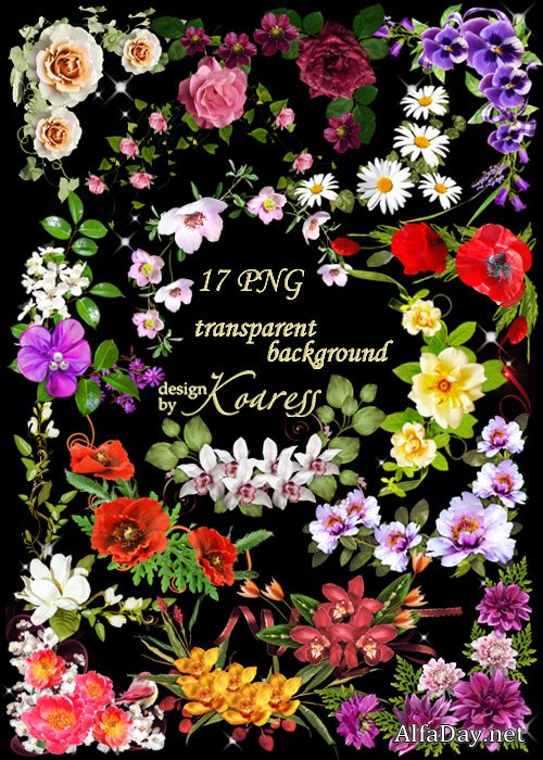 ��������� ������ ��� �������� - �����, �����