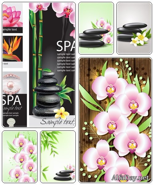 Vector spa stones and flowers - vector stock