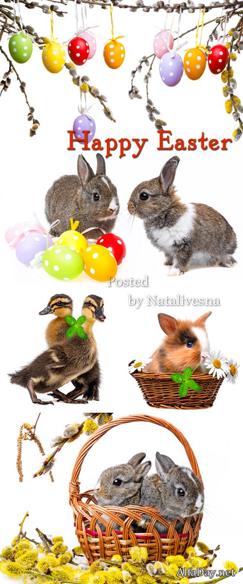 ���������� ������ � ����� �� ����� ����