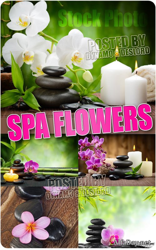 ����� � ��� - ��������� �������