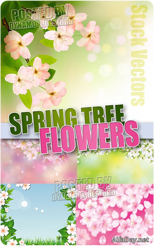 �������� ���� - ��������� �������