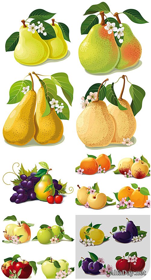 ������ � �������, �����, ������ / Vector fruit, pears, apples