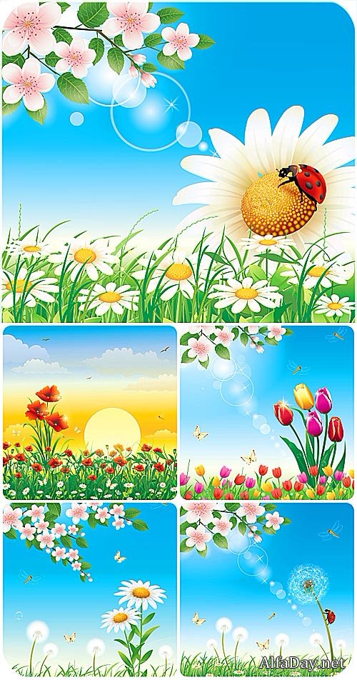 ��������� ���� � �������, ����� / Natural backgrounds vector, flowers