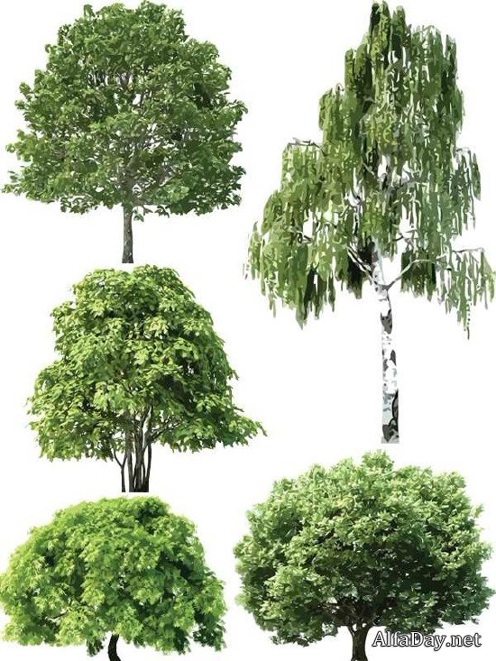 �������, ������, ���, ���, ���, ���� - ��������� �������