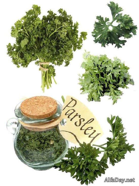 ������, ��������: �������� (�������� ��������)