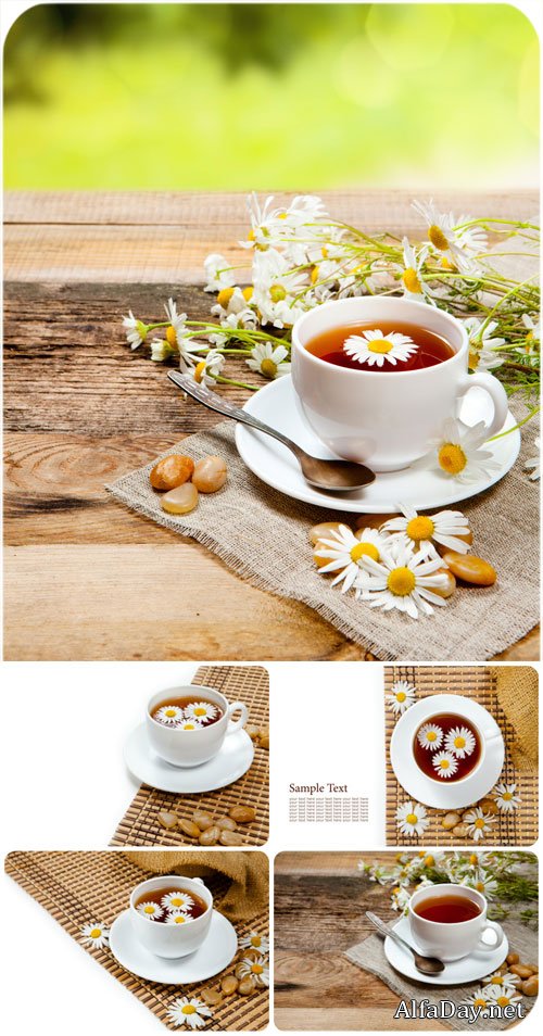 ��� � �������� / Chamomile tea - Stock Photo
