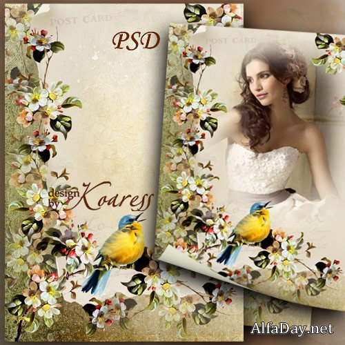 ������������� ����� ��� ���� - �������� �������