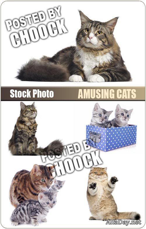 �������� ����� - ��������� �������