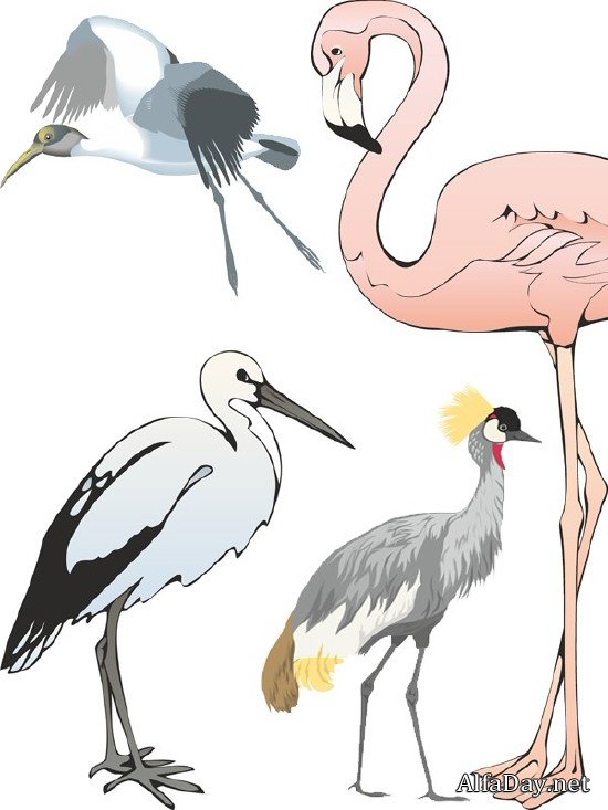 �����, ����� � �������� � �������