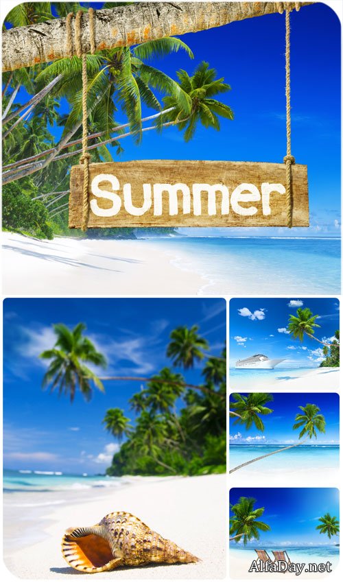 ����, ����, ������ / Summer, sea, palm trees - Stock Photo