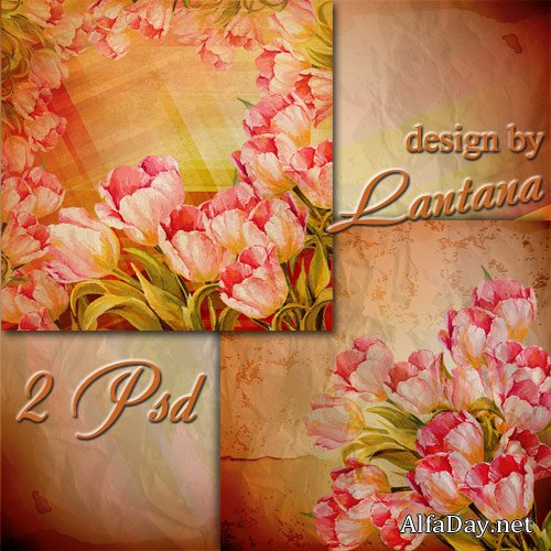 ������������ ��������� ���� ��� �������� - ��������