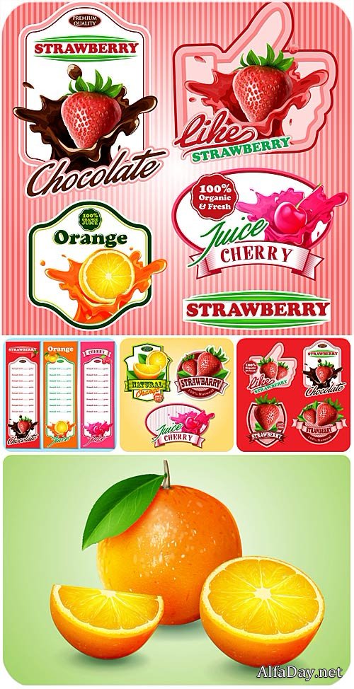 �������� � �������� � �������, ������ � ������� / Labels with fruits and berries, citrus vector