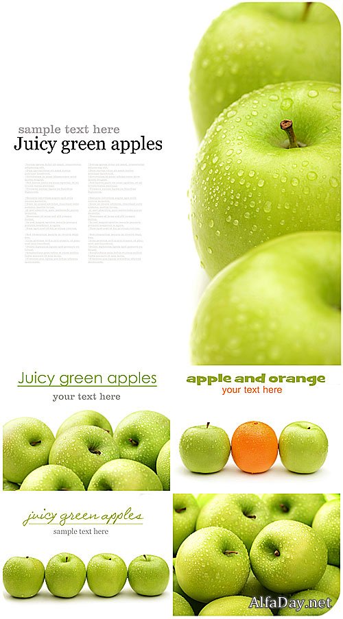 ������ ������ / Fresh apples - Stock photo