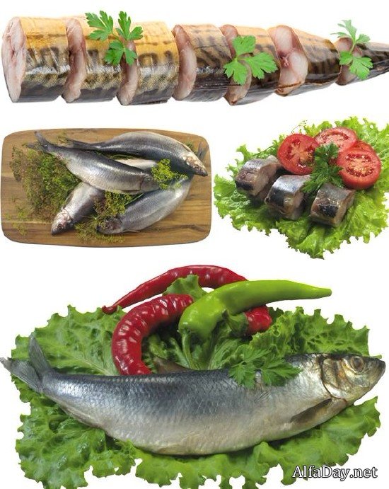 ������������: �������