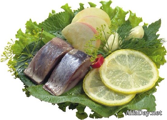 ������������: �������