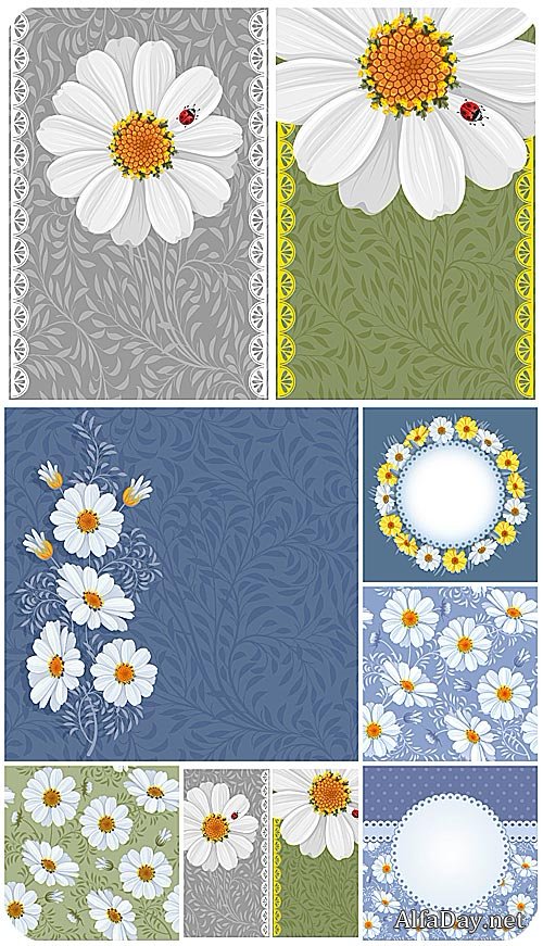 �������, ��������� ��������� ���� / Chamomile , vector floral backgrounds